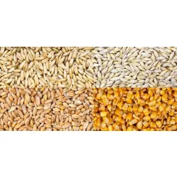 Karma Pasza Naturalna bez Chemii Ziarno dla kur niosek, kaczek gęsi 20 kg