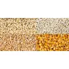 Karma Pasza Naturalna Gnieciona Ziarno dla kur niosek, kaczek gęsi 10kg