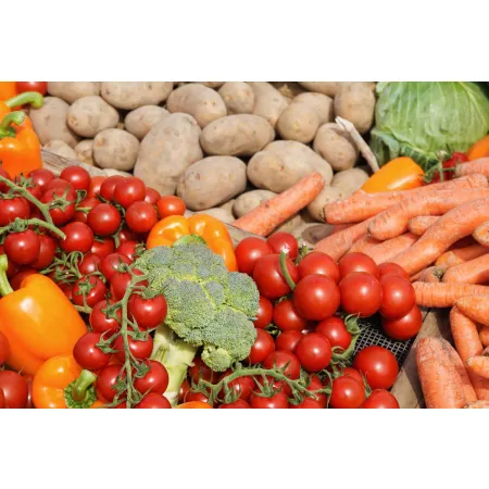 Saletrzak Nawóz azotowy Anwil Włocławek granulat 20 kg na trawnik warzywa