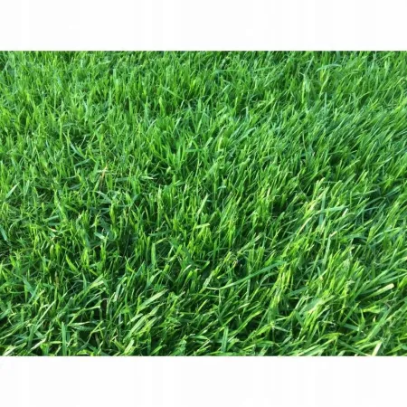 Saletrzak Nawóz azotowy Grupa Azoty granulat 20 kg trawa trawnik