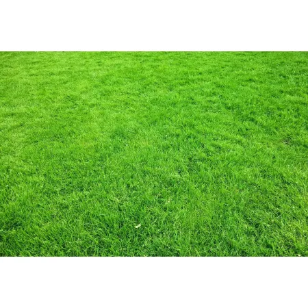 Saletrzak Nawóz azotowy Grupa Azoty granulat 1 kg