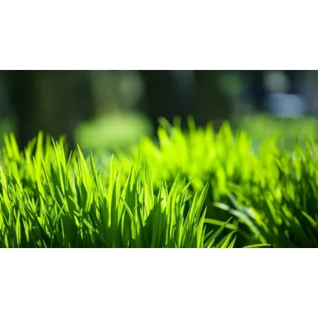 Saletrzak Nawóz azotowy Grupa Azoty granulat 1 kg
