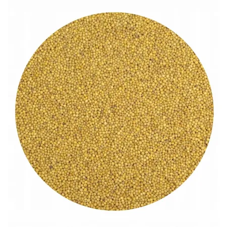 POPLON SZYBKOROSNĄCY miododajny mix nasiona 1000g gryka gorczyca rzodkiew