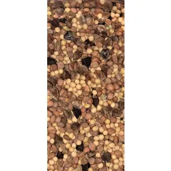 POPLON SZYBKOROSNĄCY mix nasiona 2,5KG gryka gorczyca rzodkiew