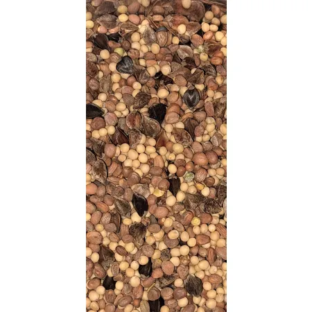 POPLON SZYBKOROSNĄCY mix nasiona 2,5KG gryka gorczyca rzodkiew