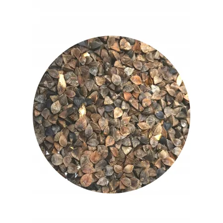 POPLON SZYBKOROSNĄCY mix nasiona 2,5KG gryka gorczyca rzodkiew
