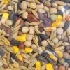 MIESZANKA STRACZKOWA 7 zbóż PASZOWA NA POPLON 1KG