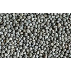 ŁUBIN WĄSKOLISTNY GORZKI NASIONA POPLON 1KG