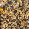 MIESZANKA STRACZKOWA 7 zbóż PASZOWA NA POPLON 10KG